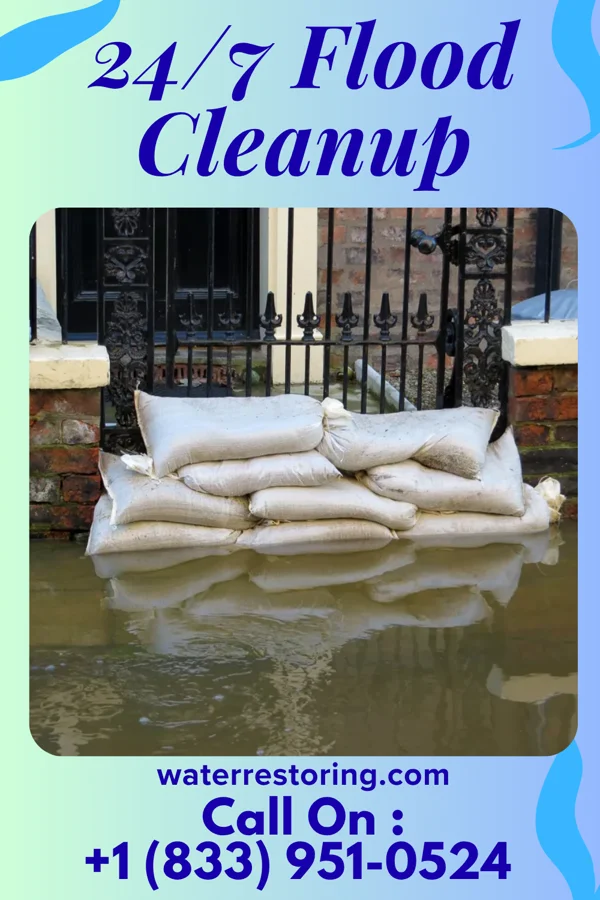 24/7 Flood Cleanup in Pewamo, MI