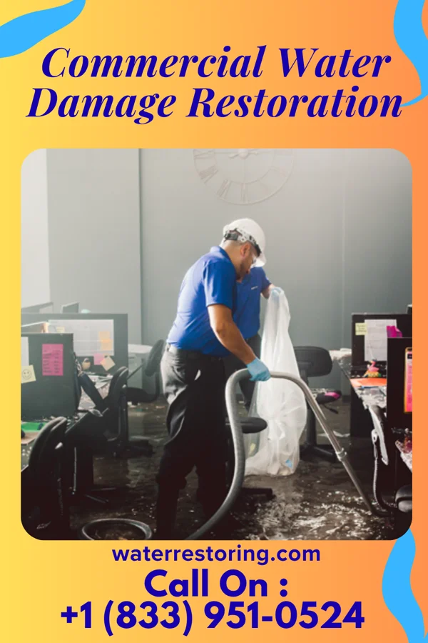 Commercial Water Damage Restoration in Pewamo, MI