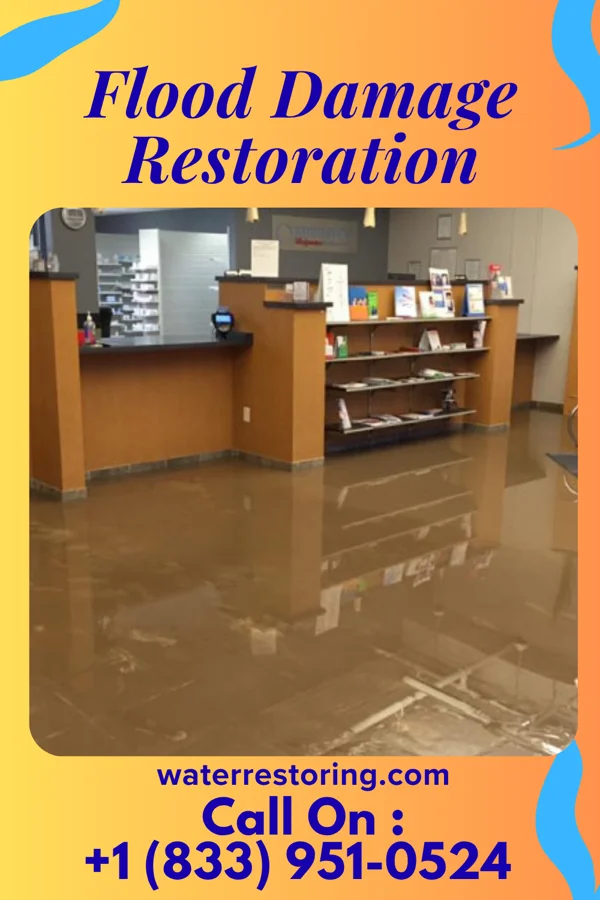 Flood Damage Restoration in Pewamo, MI