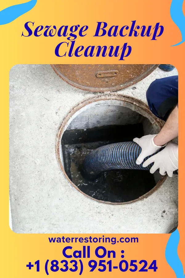 Sewage Backup Cleanup in Pewamo, MI